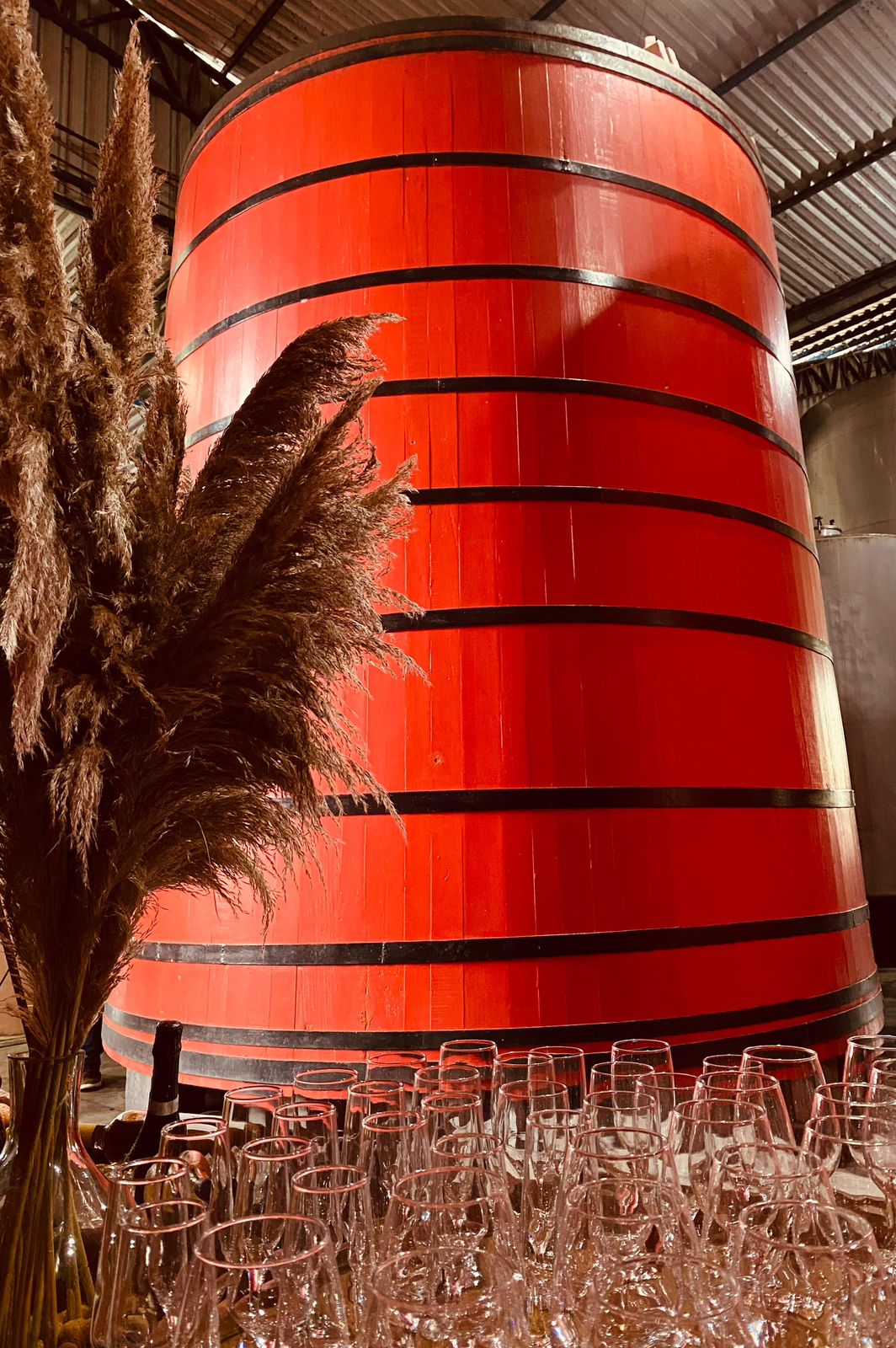 WhatsApp Image 2025-05-28 at 16.05.29